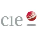 wsi-imageoptim-Grupo_CIE_logo-300x300